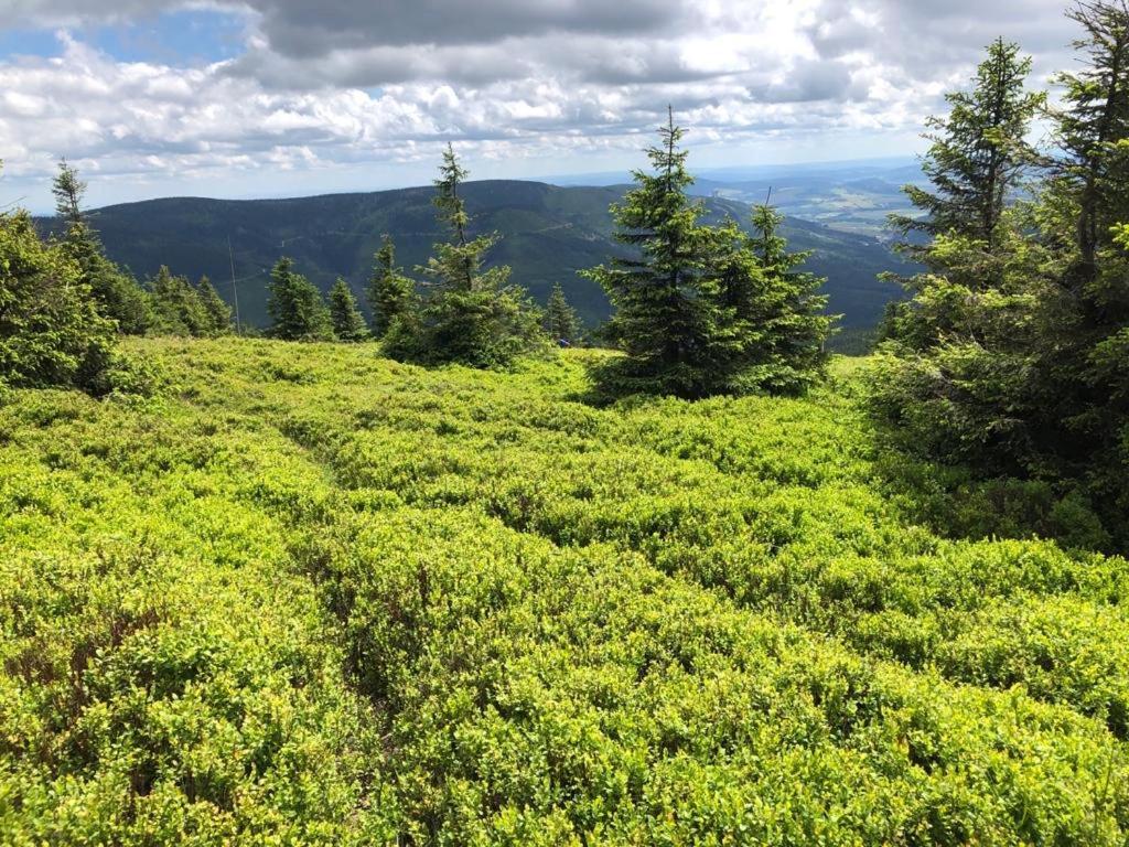 Klimatyczny Dom Kopaczowka Przytulna Miejscowka Z Kominkiem, Sauna I Ogrodem U Podnoza Gor Stolowych Радкув Экстерьер фото